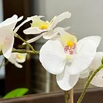 Royal - Private - Center Of Sunny *
